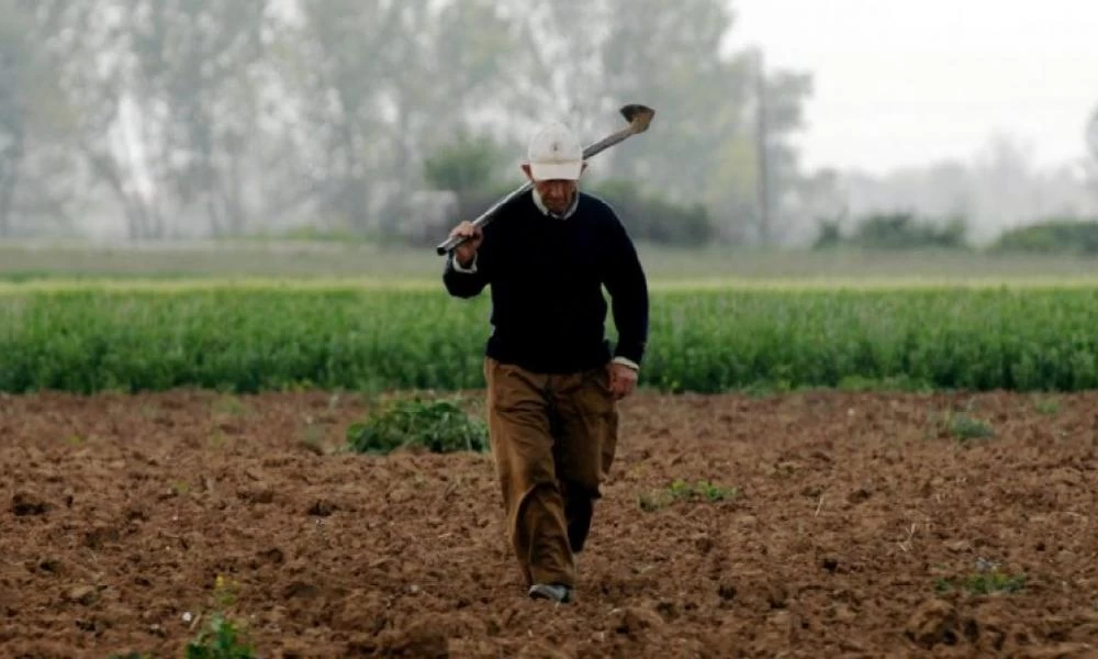 Πιστώνονται σήμερα 700 εκατ. ευρώ σε 540.000 αγρότες